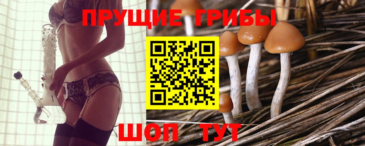 Псилоцибиновые грибы Psilocybe  Вход с VPN  Галлюциногенные грибы Magic Shrooms  Медногорск 