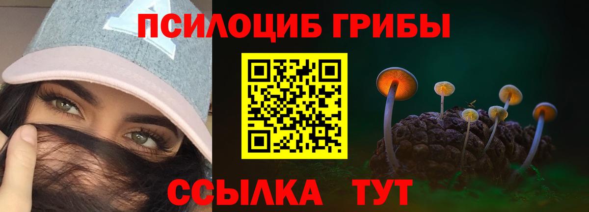Галлюциногенные грибы мицелий Медногорск